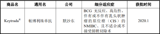 2021年非肌层浸润性膀胱癌（NMIBC）诊疗行业市场需求前景预测及投资建议规划评估预测