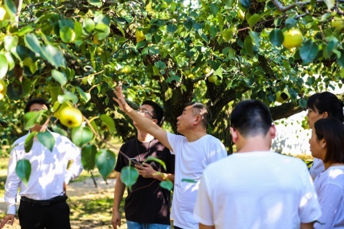 人民日报等30家媒体广泛报道——《中国燃气直播卖梨的背后：政企合力促进“共同富裕”》