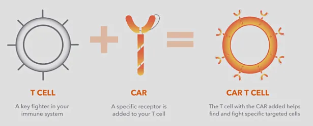 科普｜120万一针的CAR-T细胞是什么？