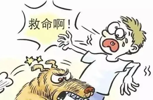国晖北京- 故意逗狗被咬伤，是否能向主人追责?