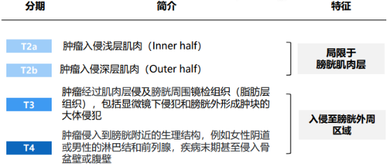 2021年肌层浸润性膀胱癌（MIBC）诊疗行业市场分析及竞争战略研究