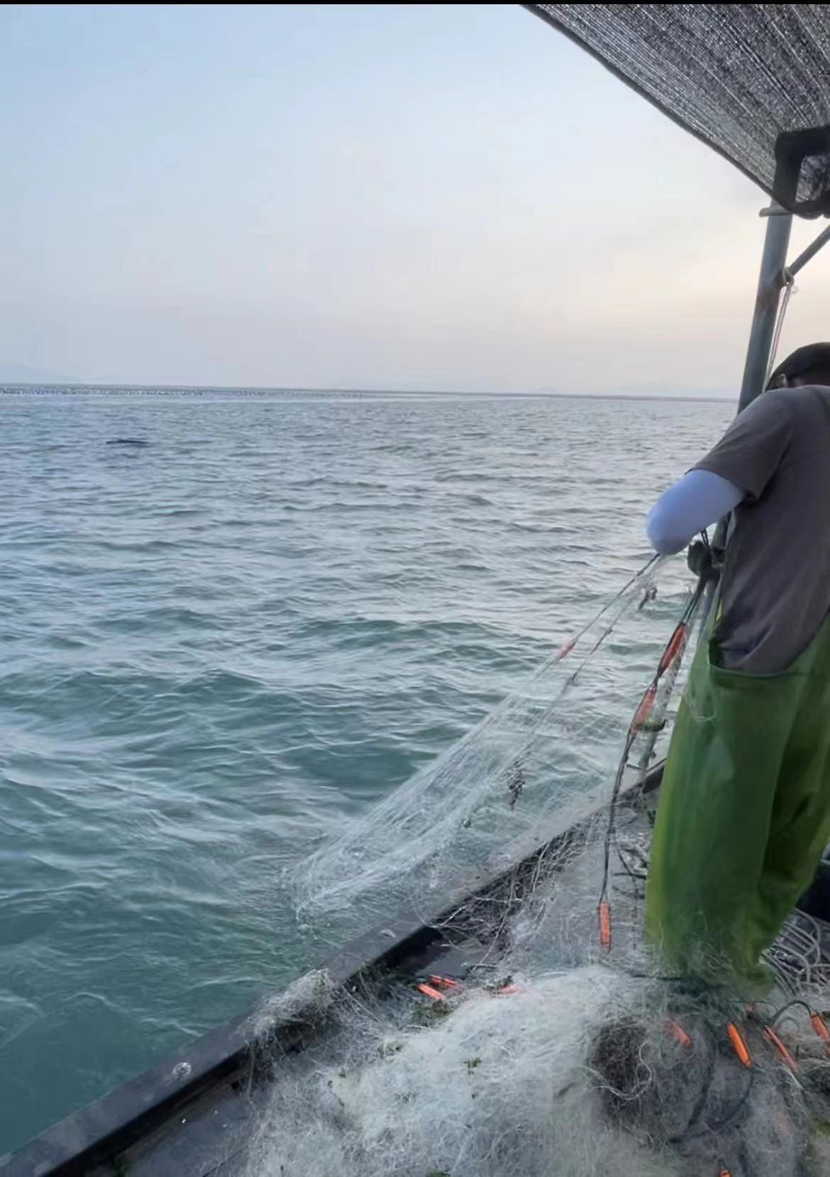 上海段和段（深圳）律师事务所团建活动——畅游碧海，漫步潮汕