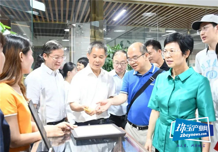广西自治区领导杨静华到平桂区调研乡村治理体系建设情况 广西自治区领导杨静华到平桂区调研乡村治理体系建设情况