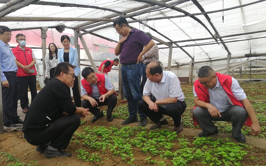 饲料桑种质创新及产业发展研讨会在高密举行 饲料桑种质创新及产业发展研讨会在高密举行