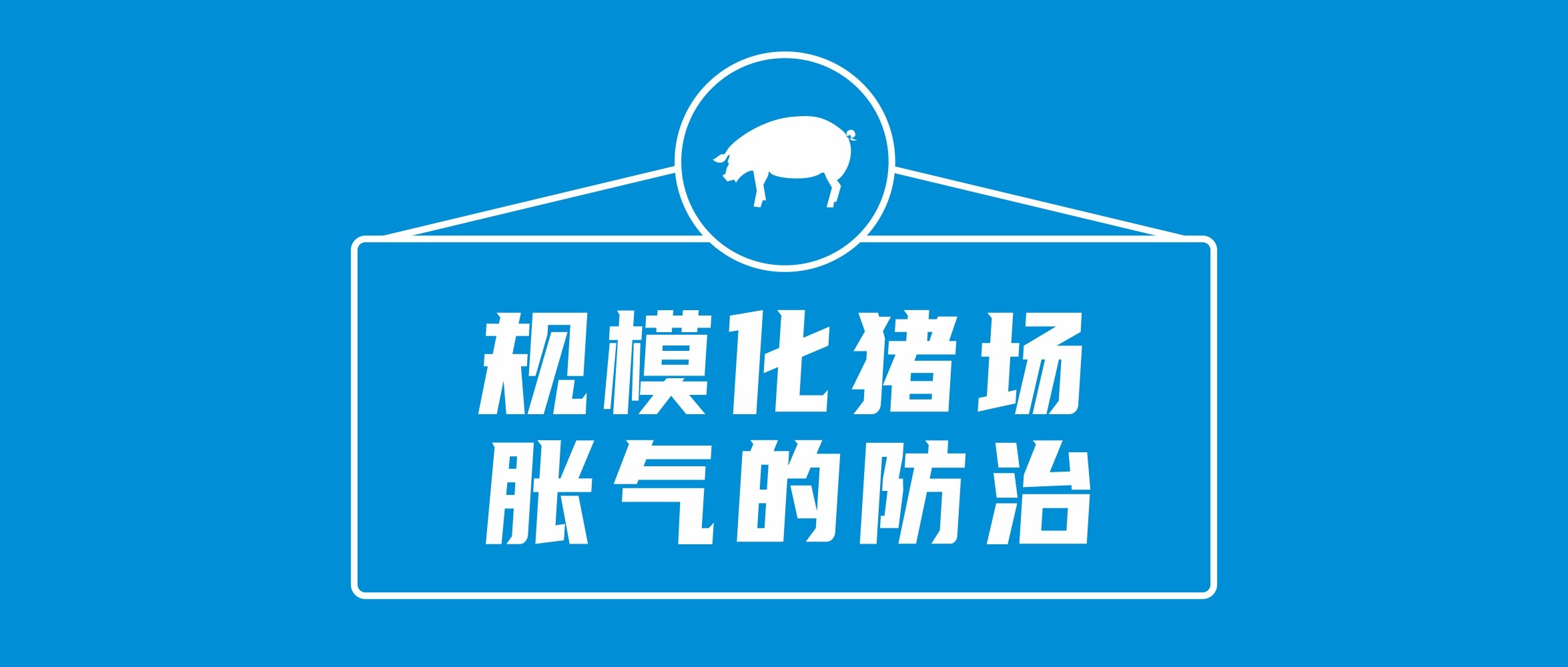 規(guī)?；i場母豬脹氣的防治