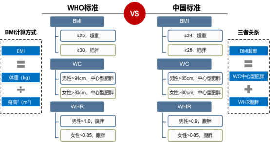 2021年抗肥胖药物行业市场规模竞争战略研究预测及投资前景可行性分析