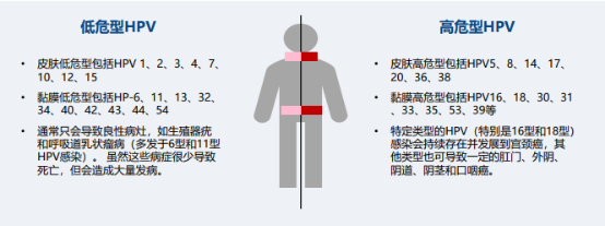 2021年宫颈癌前病变及HPV诊疗行业市场发展趋势研究预测