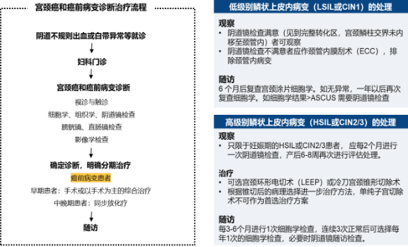 2021年宫颈癌前病变及HPV诊疗行业市场发展趋势研究预测