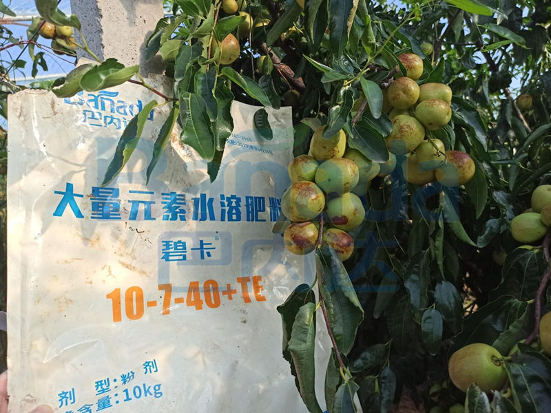 買大量元素水溶肥不懂的好壞？這幾點學會，不再受騙！