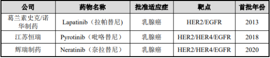 2021年全球及中国HER2抑制剂行业市场发展趋势预测及投资价值评估预测