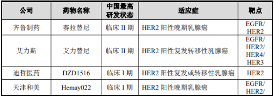 2021年全球及中国HER2抑制剂行业市场发展趋势预测及投资价值评估预测