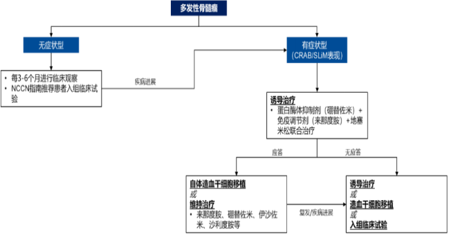 2021年多发性骨髓瘤药物行业市场盈利能力分析预测及未来市场规模需求前景预测