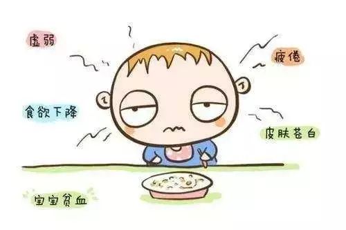 隔夜飯會(huì)造成貧血？營(yíng)養(yǎng)專家揭秘貧血的真正原因 