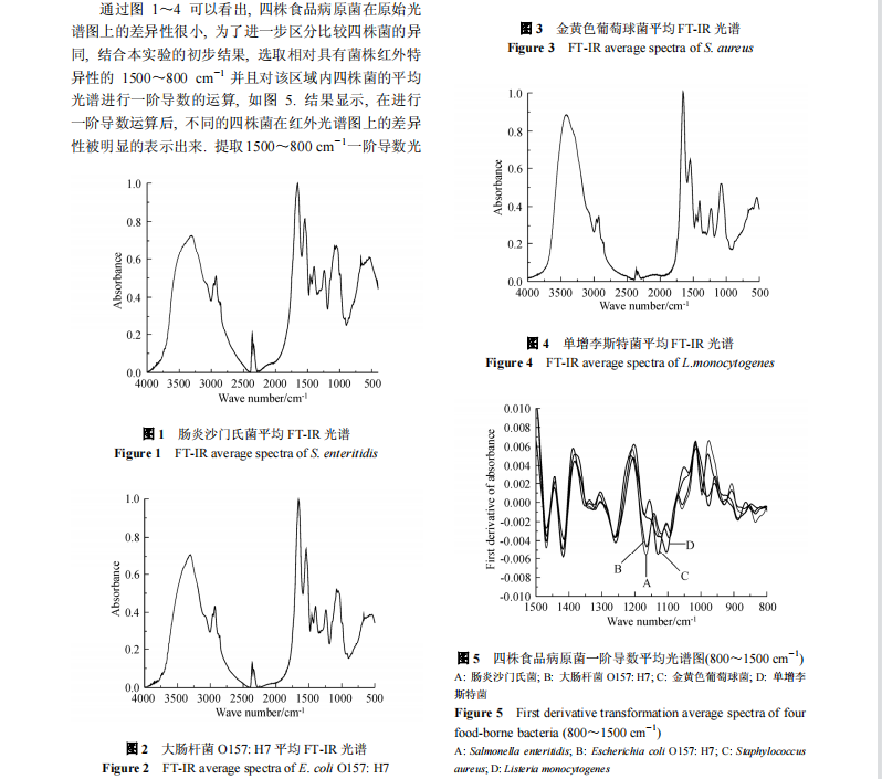 应用傅里叶变换红外光谱区分鉴定四种食源性致病菌的研究