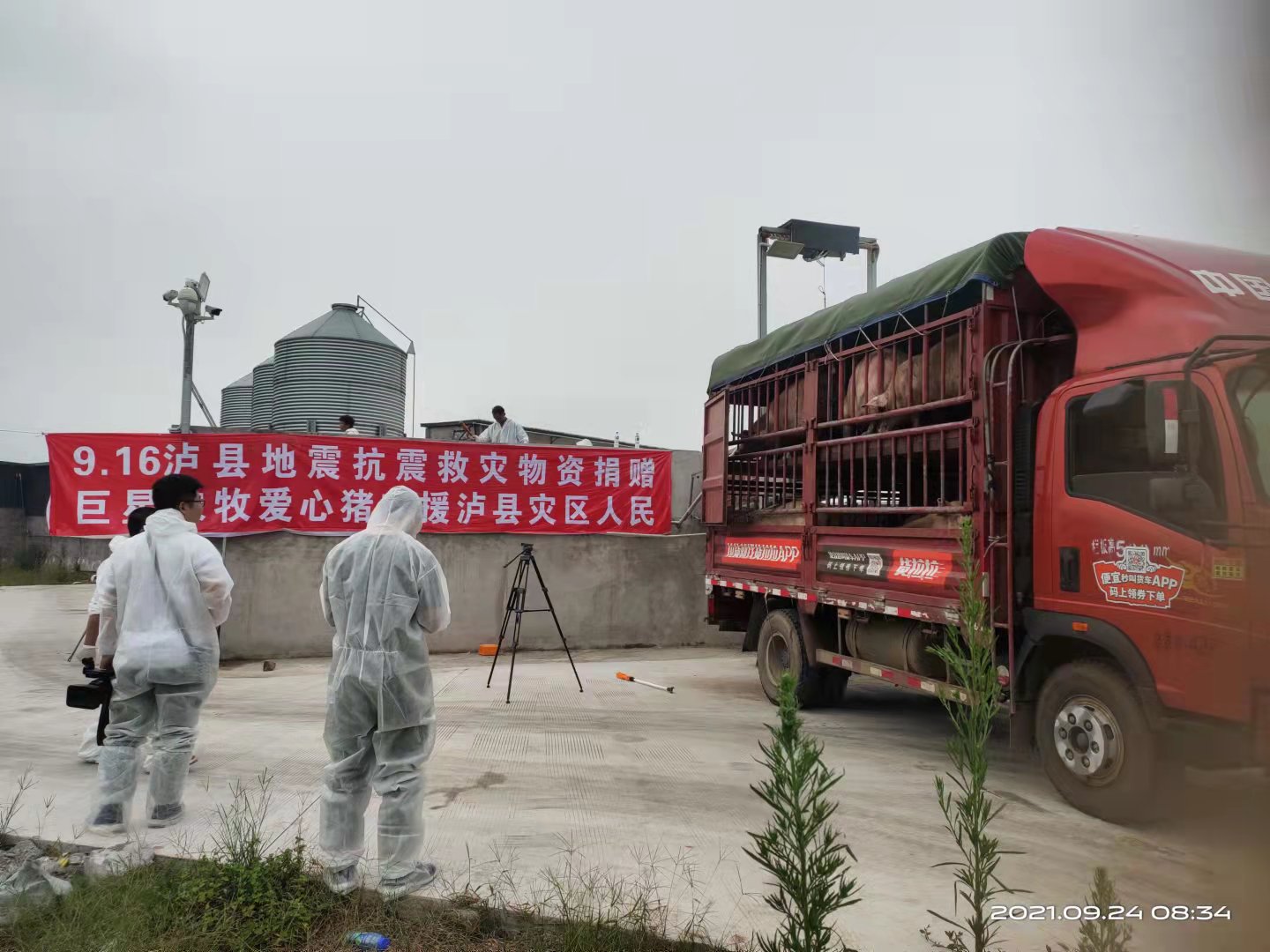 泸县巨星农牧为地震灾区捐助爱心猪