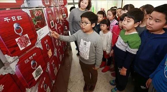 央台重磅消息：小学五年级开始学中医