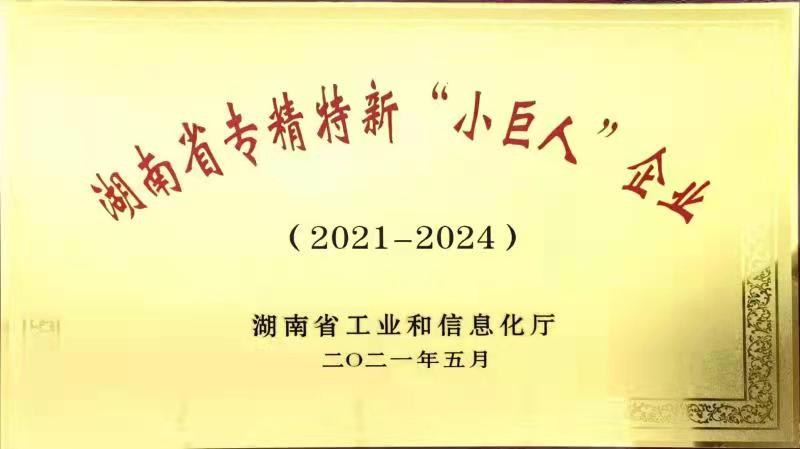 2021年湖南省专精特新“小巨人”企业