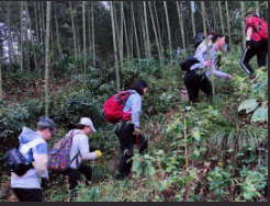 与为团建 | 莫干山之旅