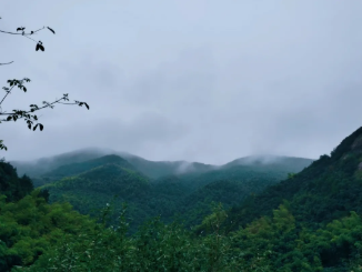 与为团建 | 莫干山之旅