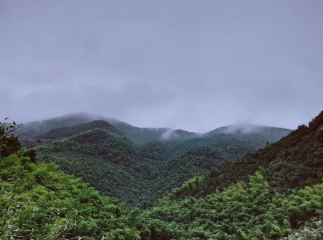 与为团建 | 莫干山之旅