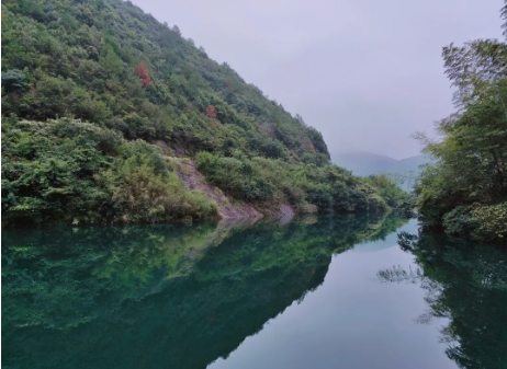 与为团建 | 莫干山之旅