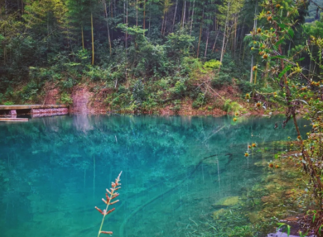 与为团建 | 莫干山之旅