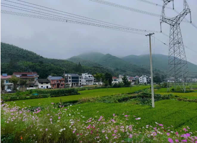 与为团建 | 莫干山之旅