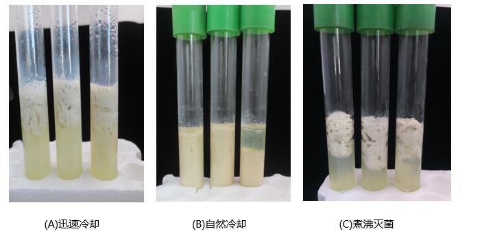 產(chǎn)氣莢膜梭菌“牛奶發(fā)酵”的原理與操作方法