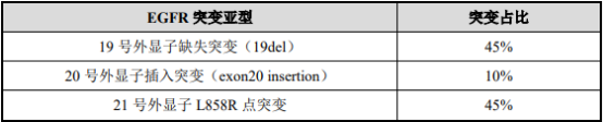 2021年非小细胞肺癌诊疗行业市场盈利规模分析预测及未来市场发展趋势研究