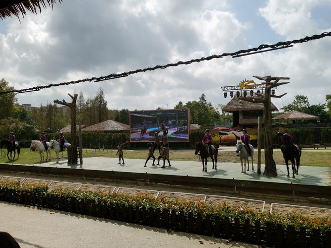  野生動物園里的游客，為啥總是癡迷于違規(guī)下車？