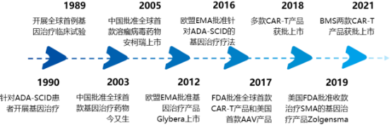 2021年基因治疗行业市场运营规模前景预测及投资竞争战略可行性规划研究