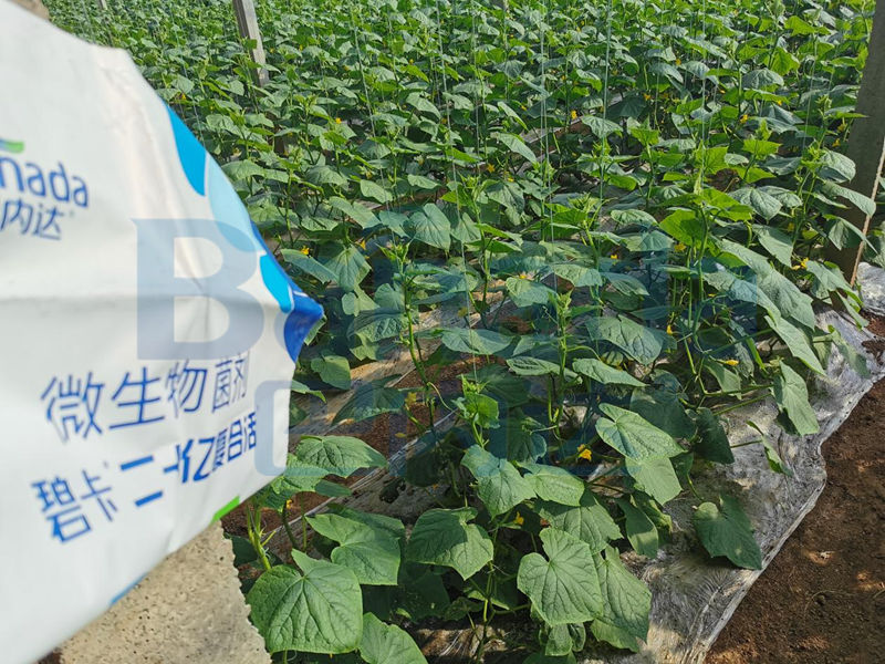 微生物菌剂哪个牌子好