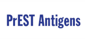 抢、 抢、 抢！Atlas Antibodies 全线产品低至7折促销