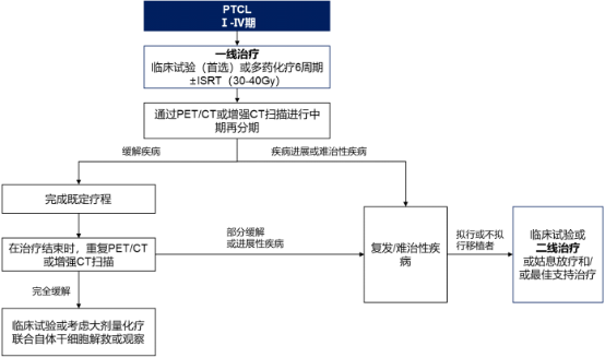 2021年PTCL治疗药物行业市场需求规模分析预测及未来市场发展战略研究