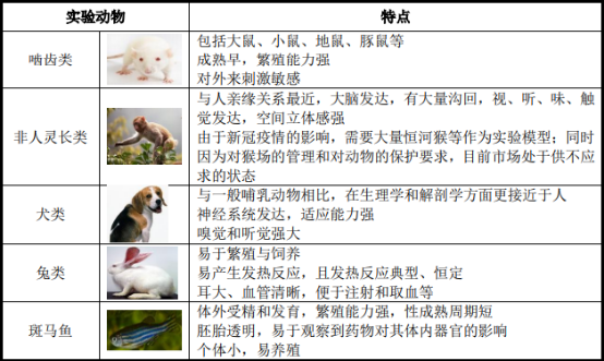 2021年实验动物行业市场规模发展态势分析及政策环境可行性研究