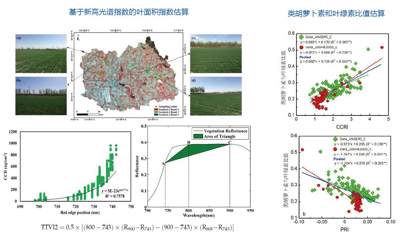 植被理化参数遥感定量反演机理、模型与方法研究