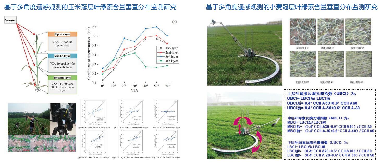 植被理化参数遥感定量反演机理、模型与方法研究