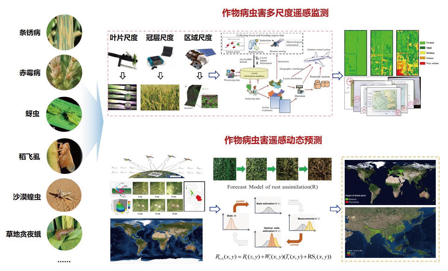 作物病虫害遥感监测和预测机理与应用