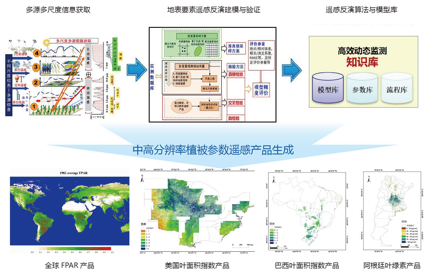 全球及重点区域植被参数遥感产品生产研究与应用