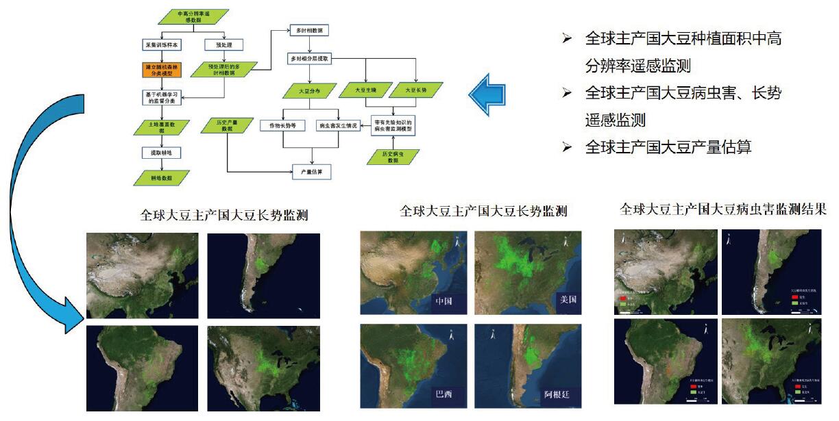 全球及重点区域植被参数遥感产品生产研究与应用