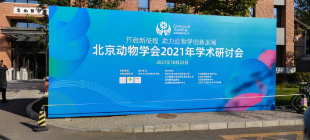 【京泽参会】北京动物学会2021年学术研讨会在清华大学圆满召开 【京泽参会】北京动物学会2021年学术研讨会在清华大学圆满召开