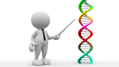 什么是表观遗传学？