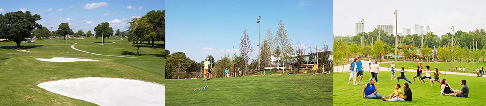 戶外親子公園 戶外親子公園