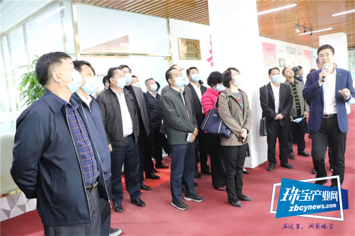 全区人大代表“混合编组、多级联动、履职为民”与会人员到平桂实地考察调研 全区人大代表“混合编组、多级联动、履职为民”与会人员到平桂实地考察调研