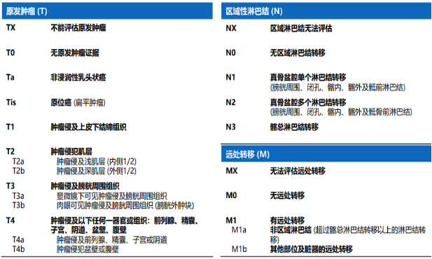 2021年膀胱癌药物市场需求规模盈利能力研究预测及未来市场走势分析
