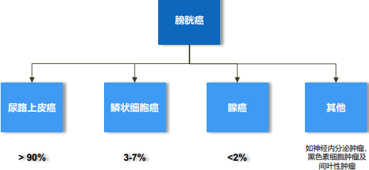 2021年膀胱癌药物市场需求规模盈利能力研究预测及未来市场走势分析