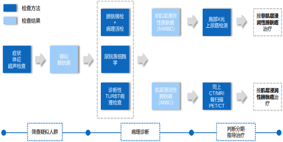 2021年膀胱癌药物市场需求规模盈利能力研究预测及未来市场走势分析