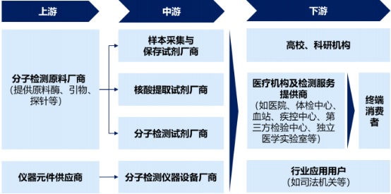 2021年分子检测行业市场发展环境分析预测及投资战略规划可行性研究