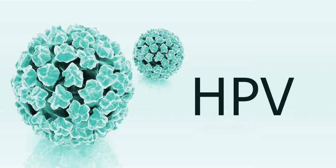 免疫细胞疗法：轻松摆脱HPV高危阳性，预防宫颈癌变风险！