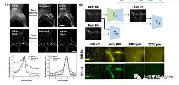 理学院洪学传团队在国际顶级期刊《Chemical Reviews》杂志发表综述文章